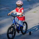 Royalbaby Moon5 18 Inch Kids Bike Blue